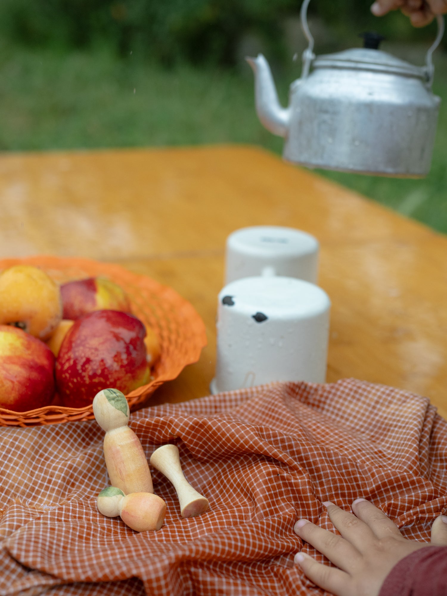 Table with apples, teapot, salt and pepper shakers, and checkered cloth outdoors.
