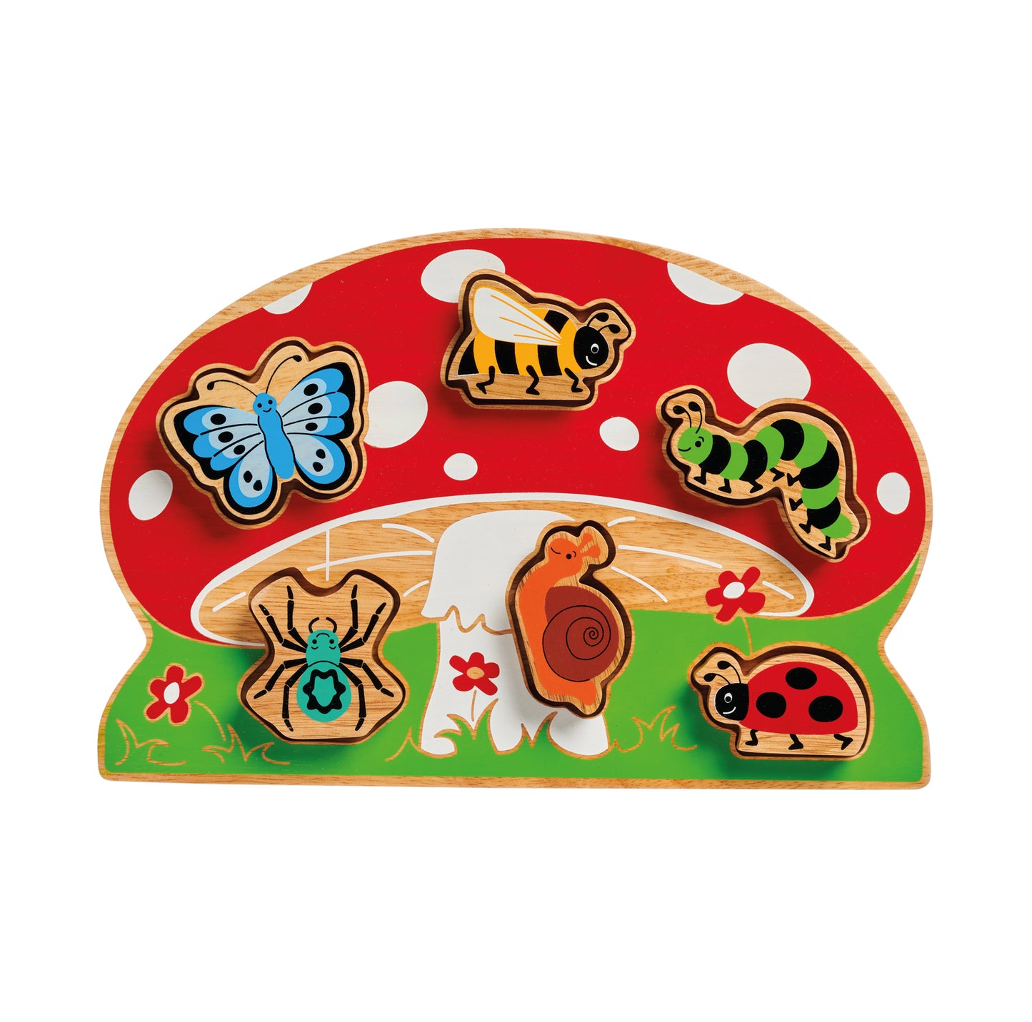 Minibeast Shape Sorter