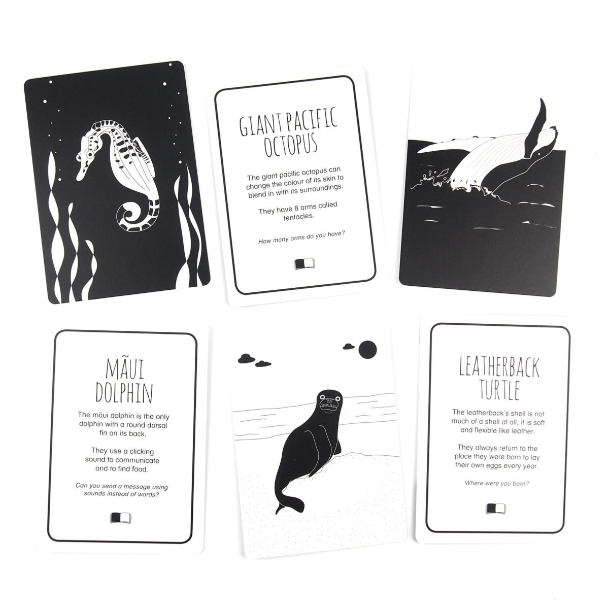 Ocean Animals Flash Cards