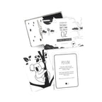 Interactive Flash Card Set - Extraordinary Animals