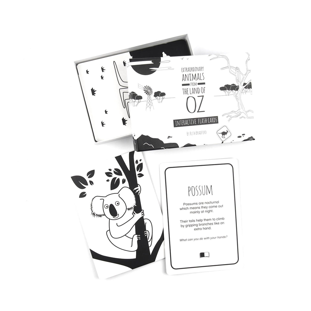 Interactive Flash Card Set - Extraordinary Animals