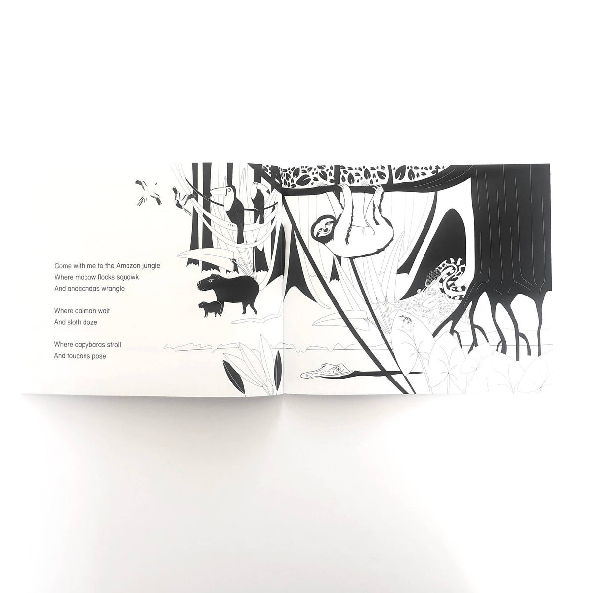 Come Explore with Me Story Book