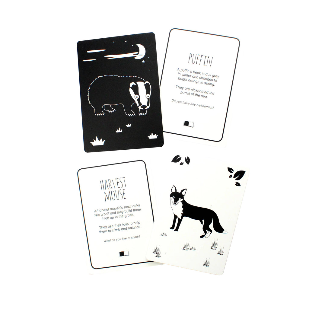 Interactive Flash Card Set - Animals of Great Britain