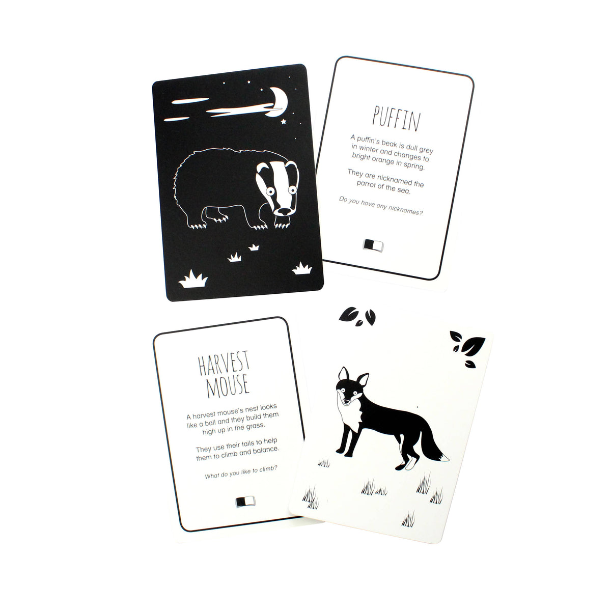 Interactive Flash Card Set - Animals of Great Britain