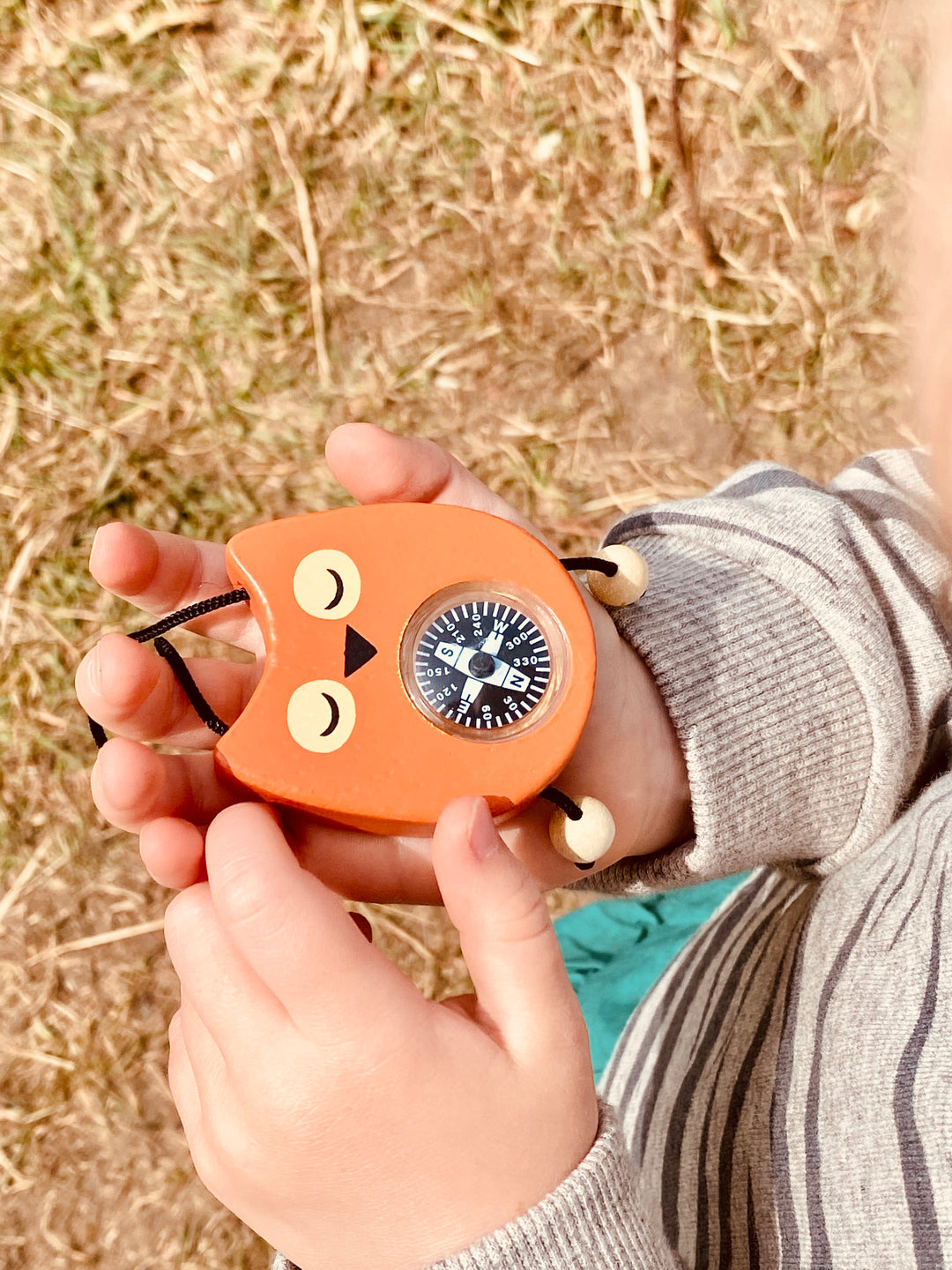Tender Leaf Toys Safari Adventure