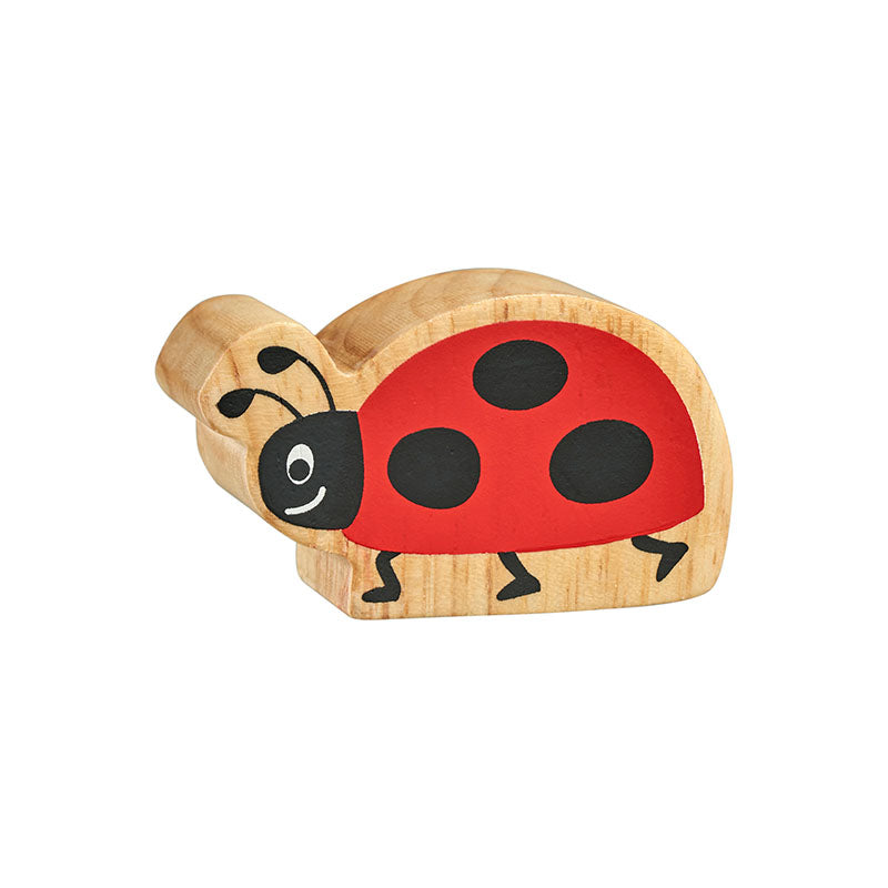Mini Beasts Bundle of 10