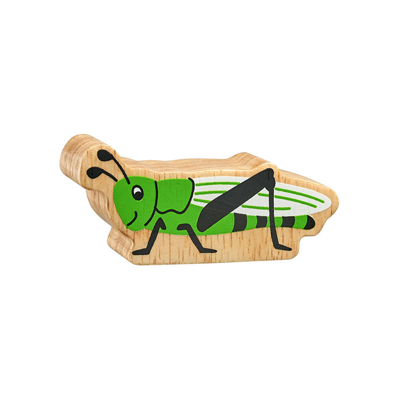 Mini Beasts Bundle of 10