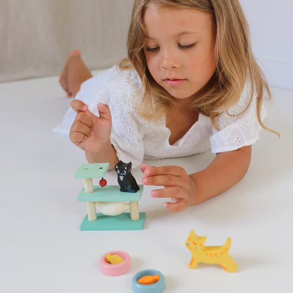 Cat Pet Set