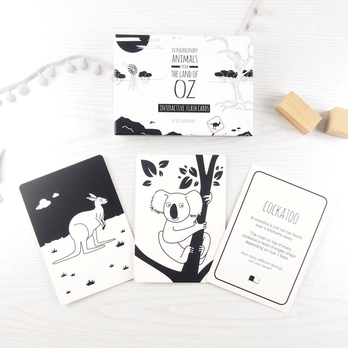 Interactive Flash Card Set - Extraordinary Animals