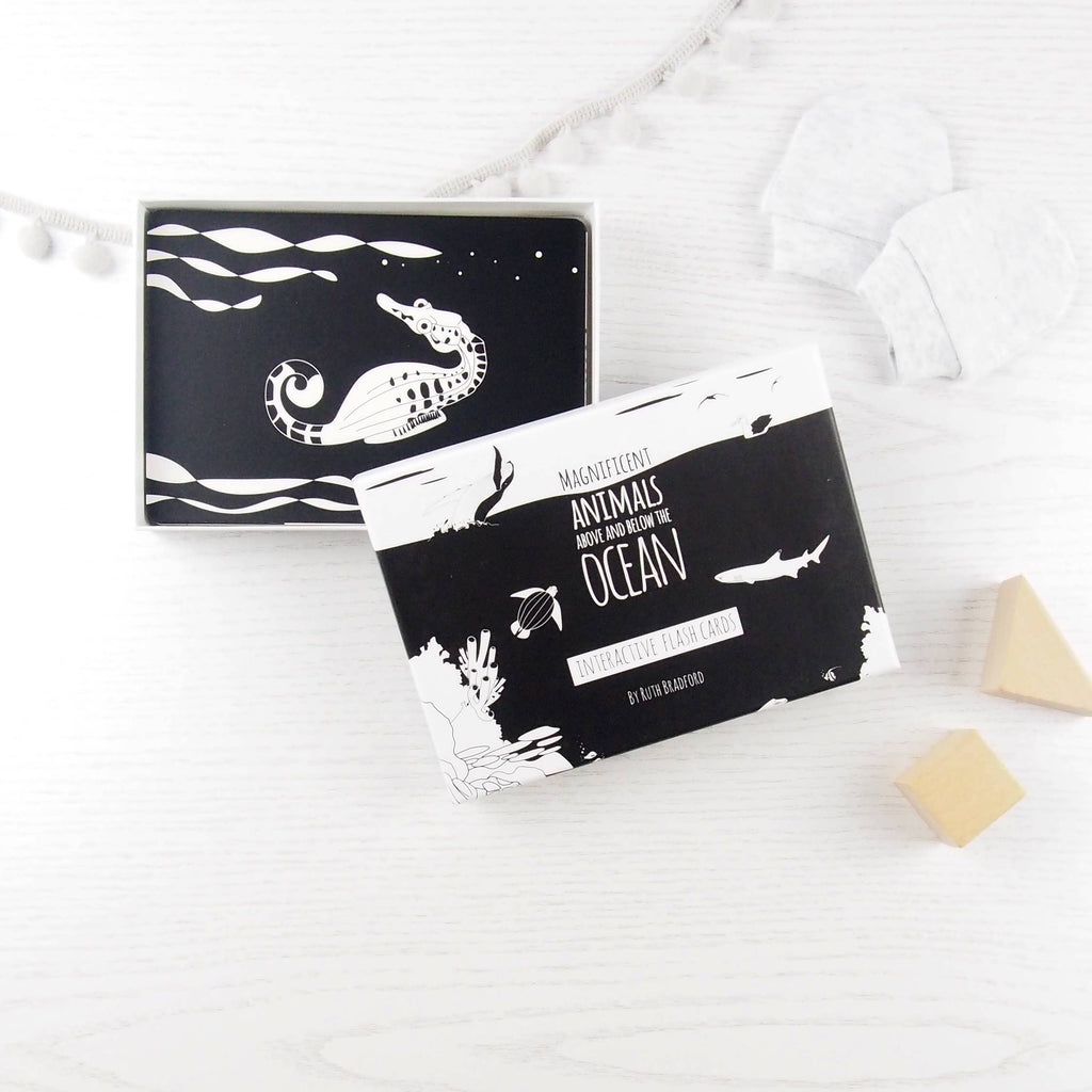 Interactive Flash Card Set - Magnificent Animals from Above