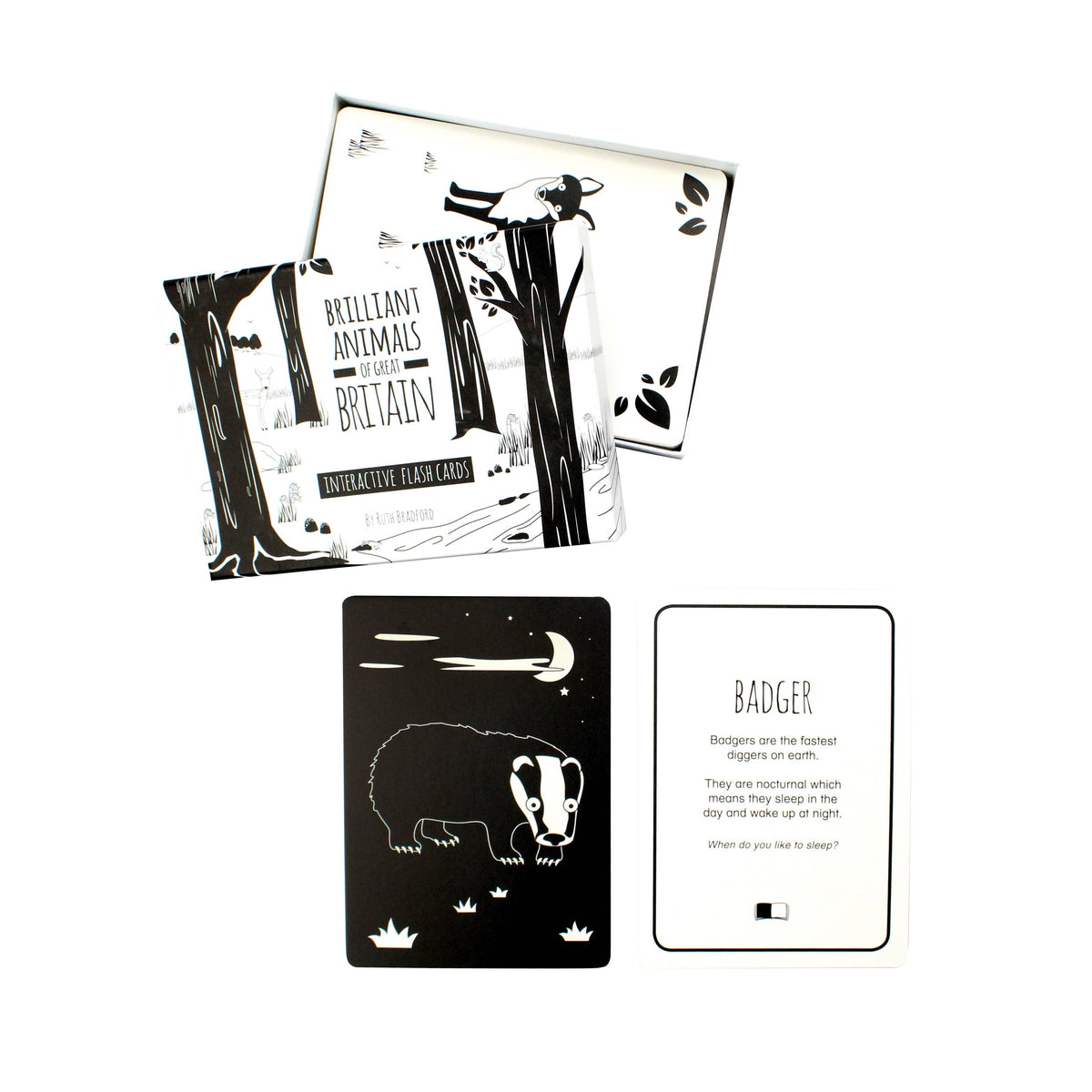 Interactive Flash Card Set - Animals of Great Britain