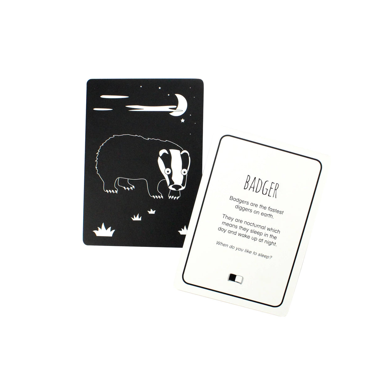 Interactive Flash Card Set - Animals of Great Britain