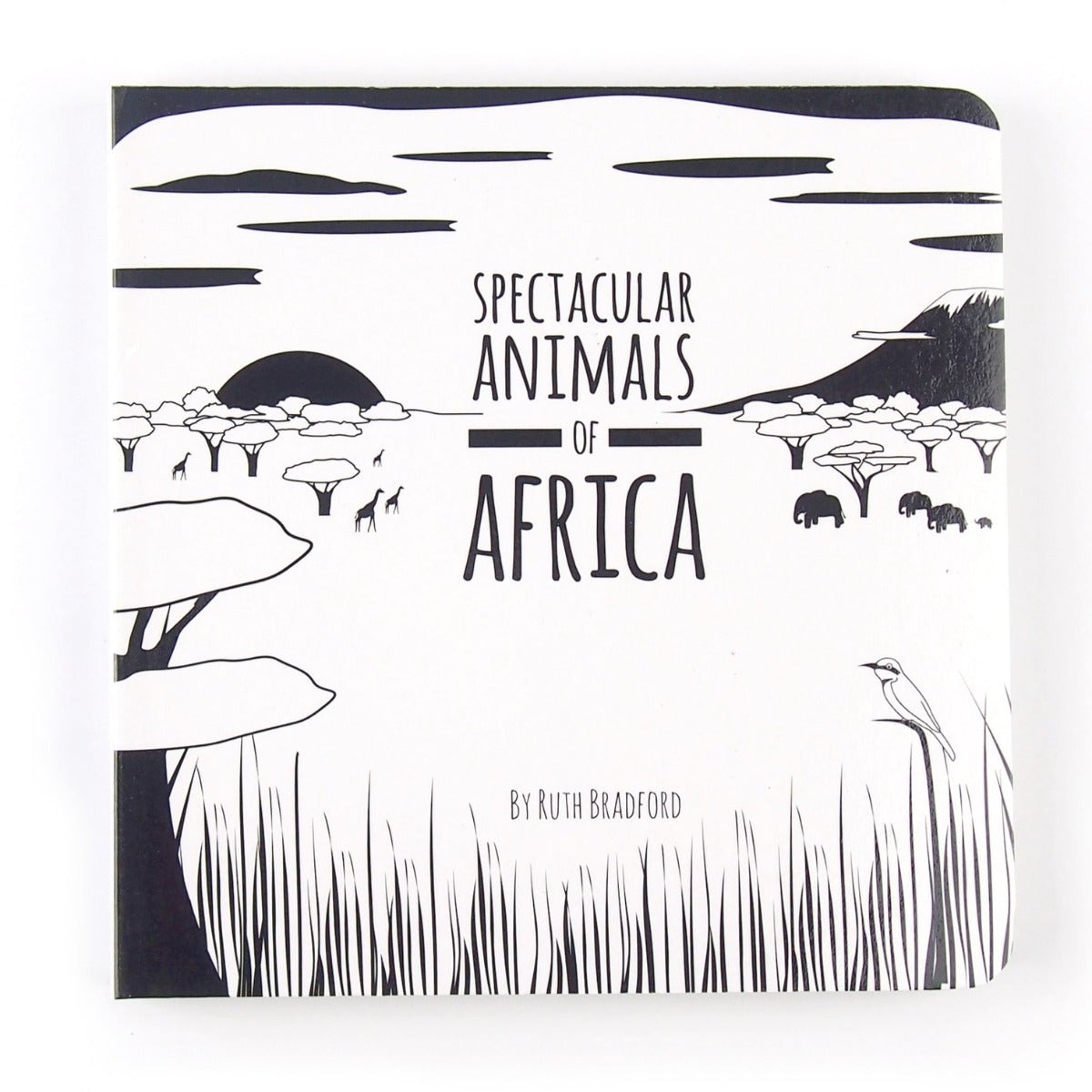 Spectacular Animals of Africa board book for kids by Froglet Toys
