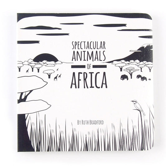 Spectacular Animals of Africa Board Book