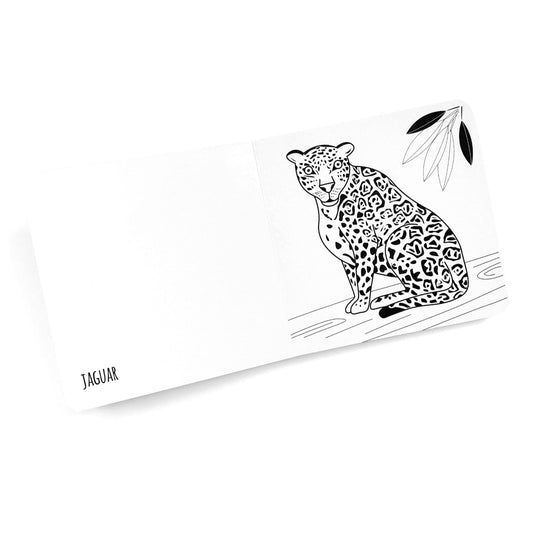 Black and white book for babies showing an image of a jaguar with the word on the opposite page.  