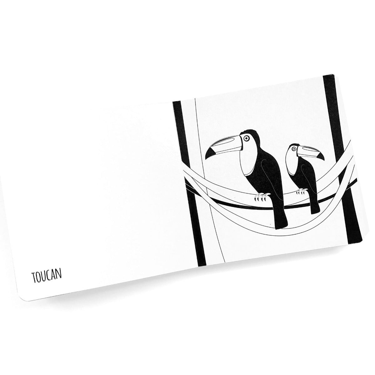 Black and white book for babies showing a drawing of toucans with the word on the opposite page.