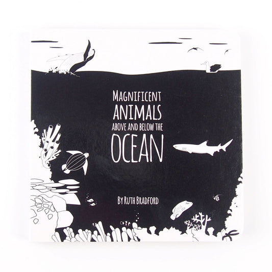 Magnificent Animals of the Ocean Board Book