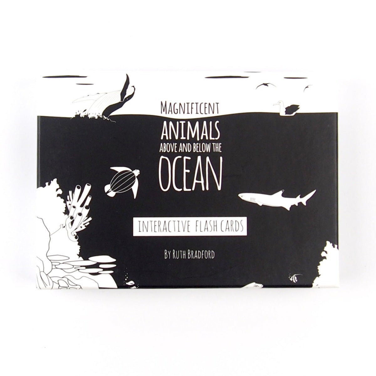 Ocean Animals Flash Cards