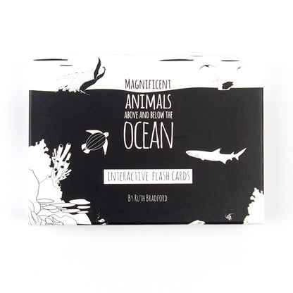 Ocean Animals Flash Cards