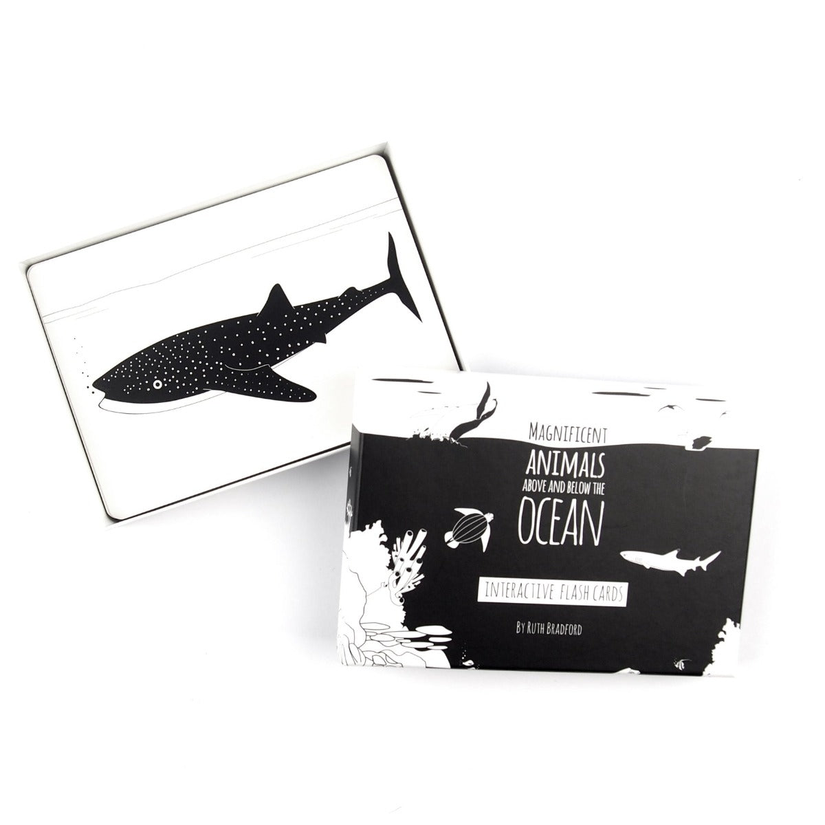 Ocean Animals Flash Cards