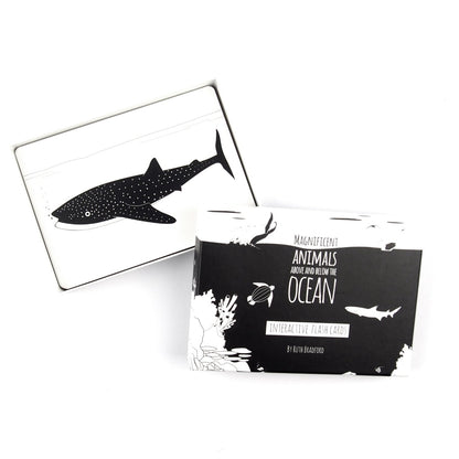 Ocean Animals Flash Cards