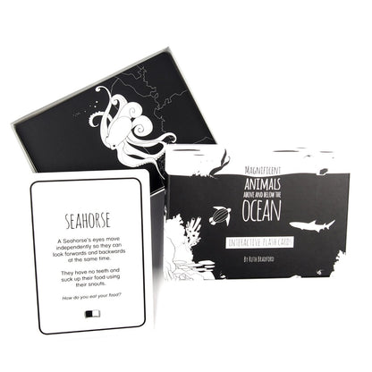 Ocean Animals Flash Cards