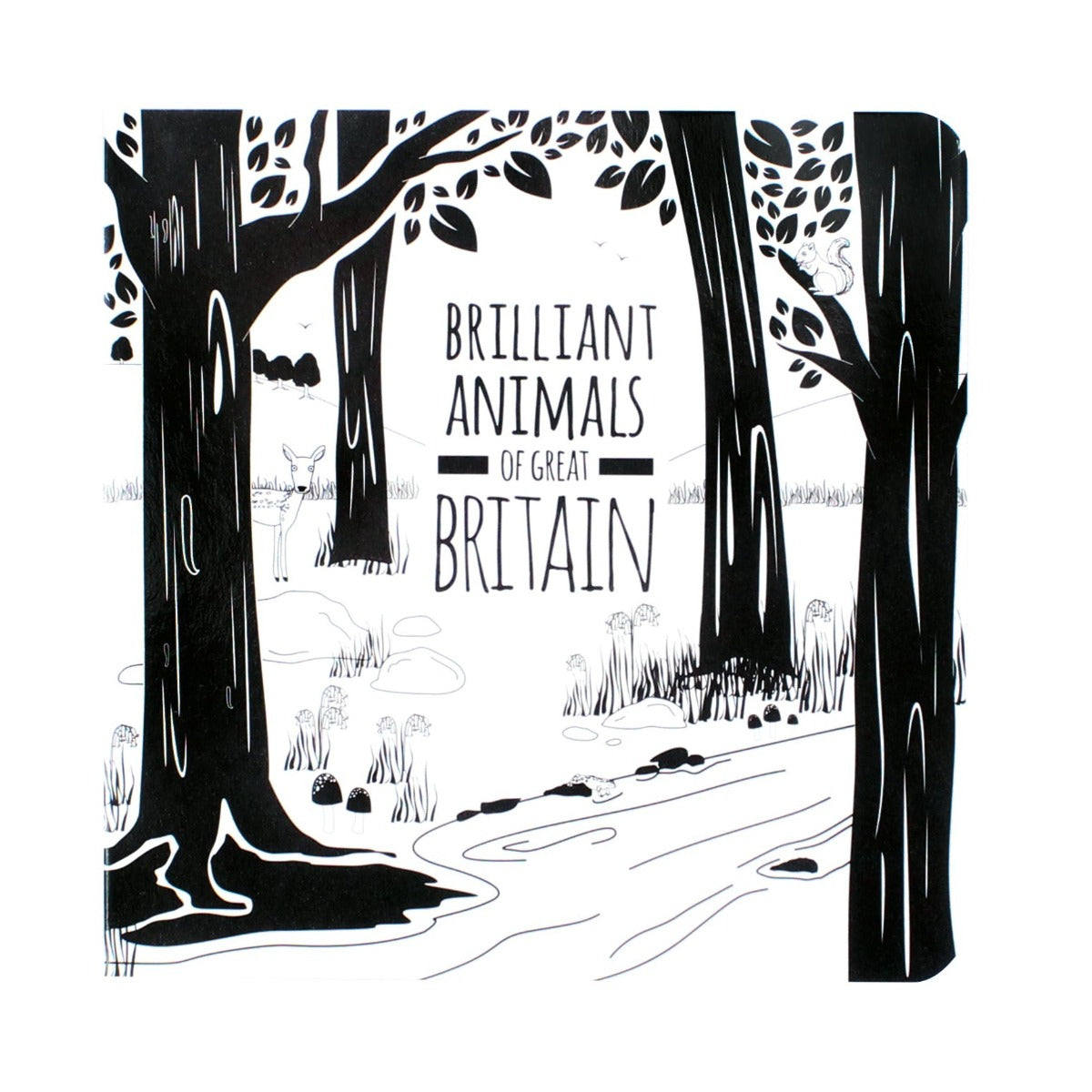 Black and white baby board book about animals of Great Britain 