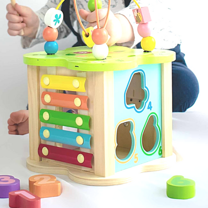 Garden Activity Cube