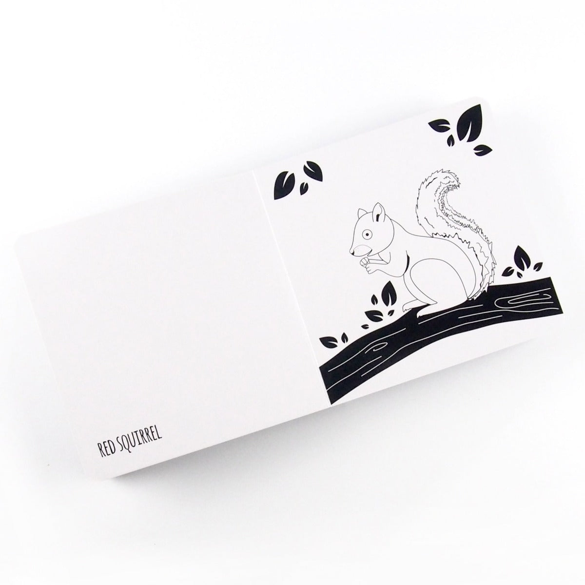 Drawing of a red squirrel with the words on the opposite page in a black and white baby board book