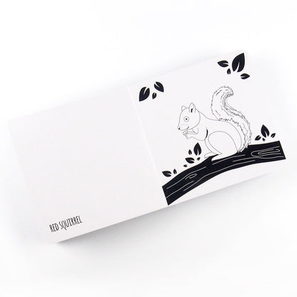 Drawing of a red squirrel with the words on the opposite page in a black and white baby board book